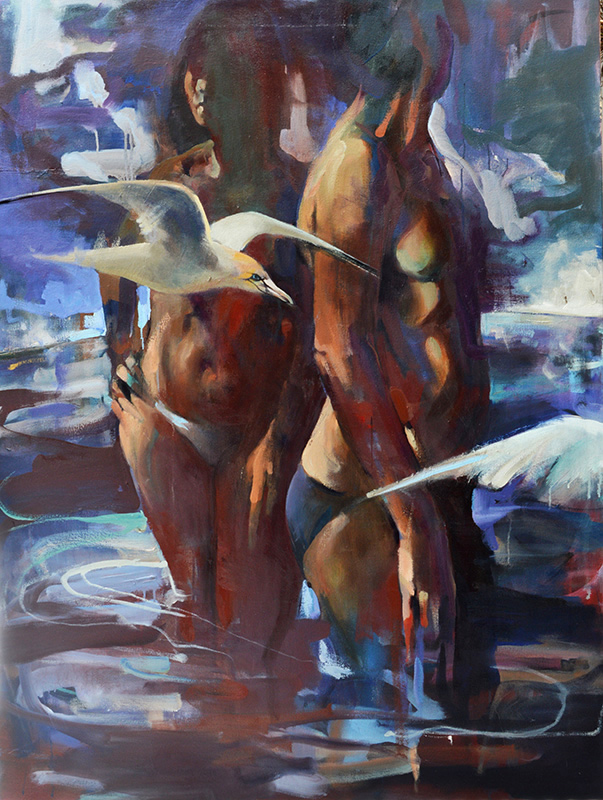 gannets